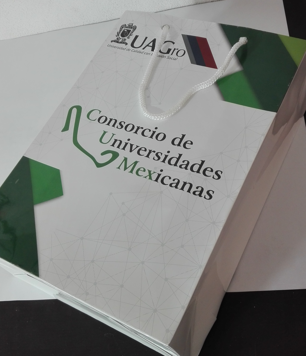 bolsas de papel impresas